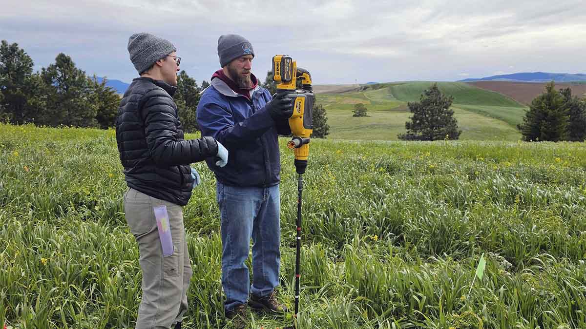 Two people look at soil science equipment in a field.