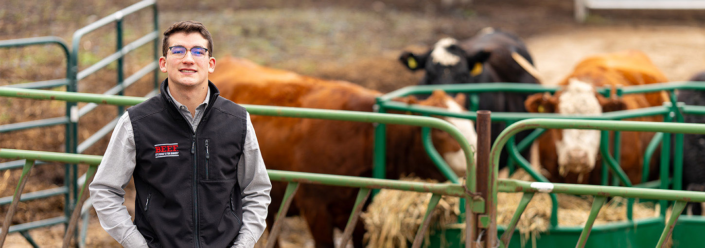 A man stands in front of cattle in a feedlot.