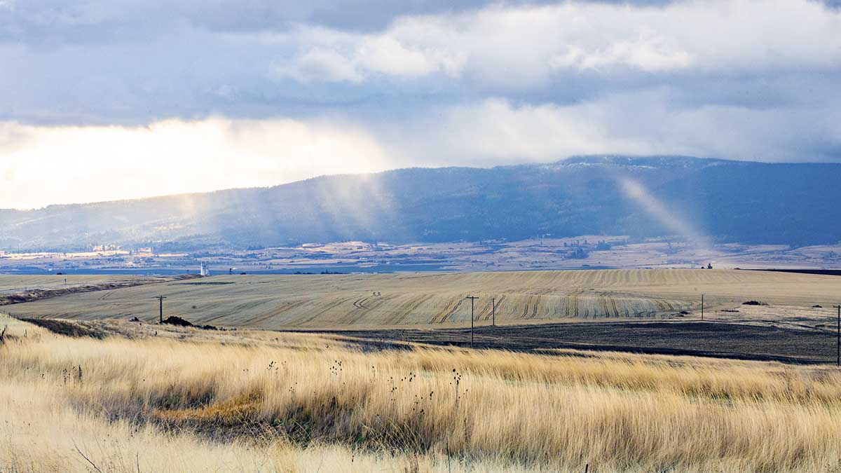 Scenery of field, mountain and sky