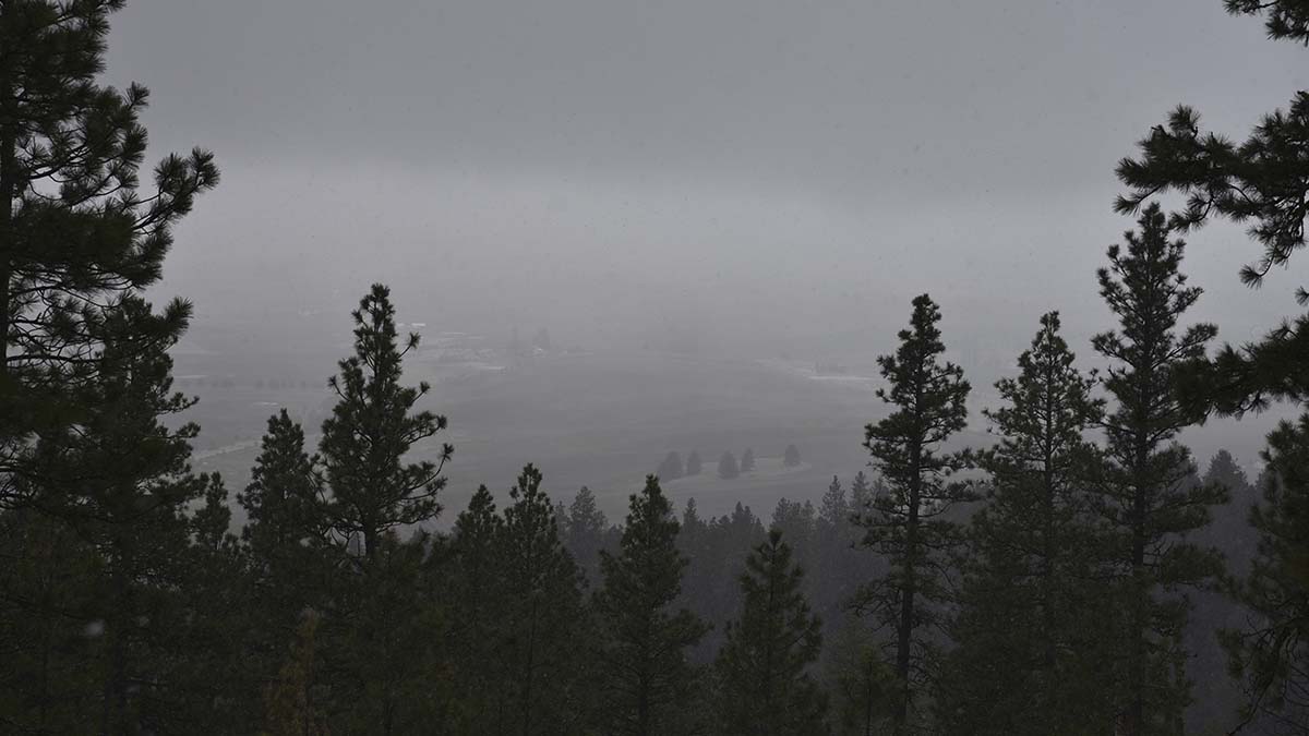 fog on the palouse