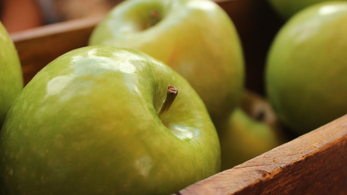 Green apples in boxes