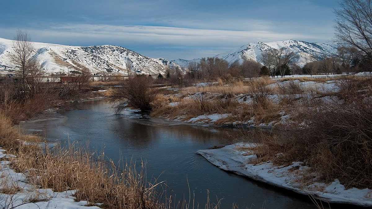 A river is lined with snow and bare trees.