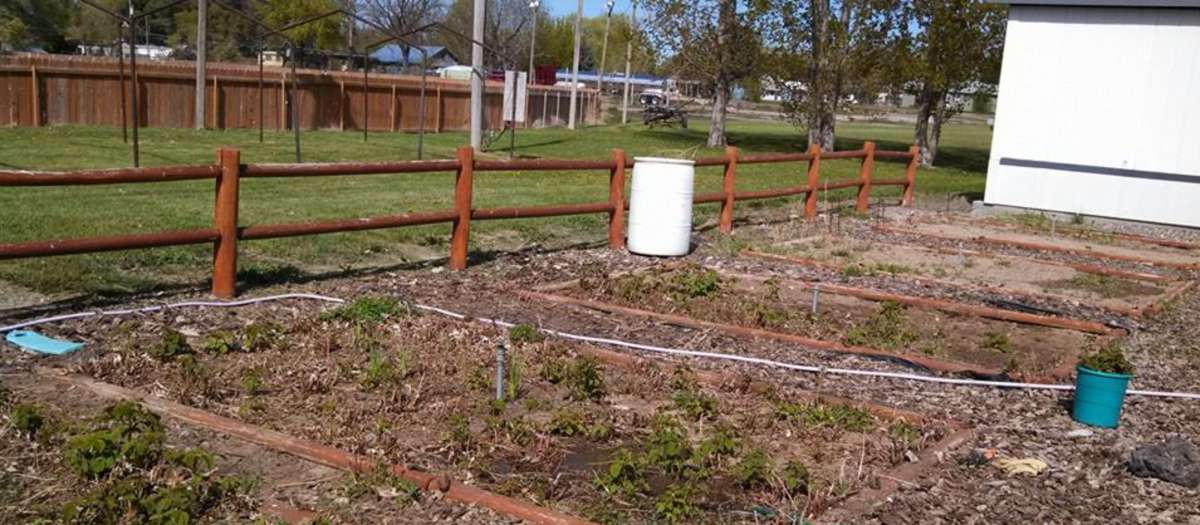 Gardening in Jerome County