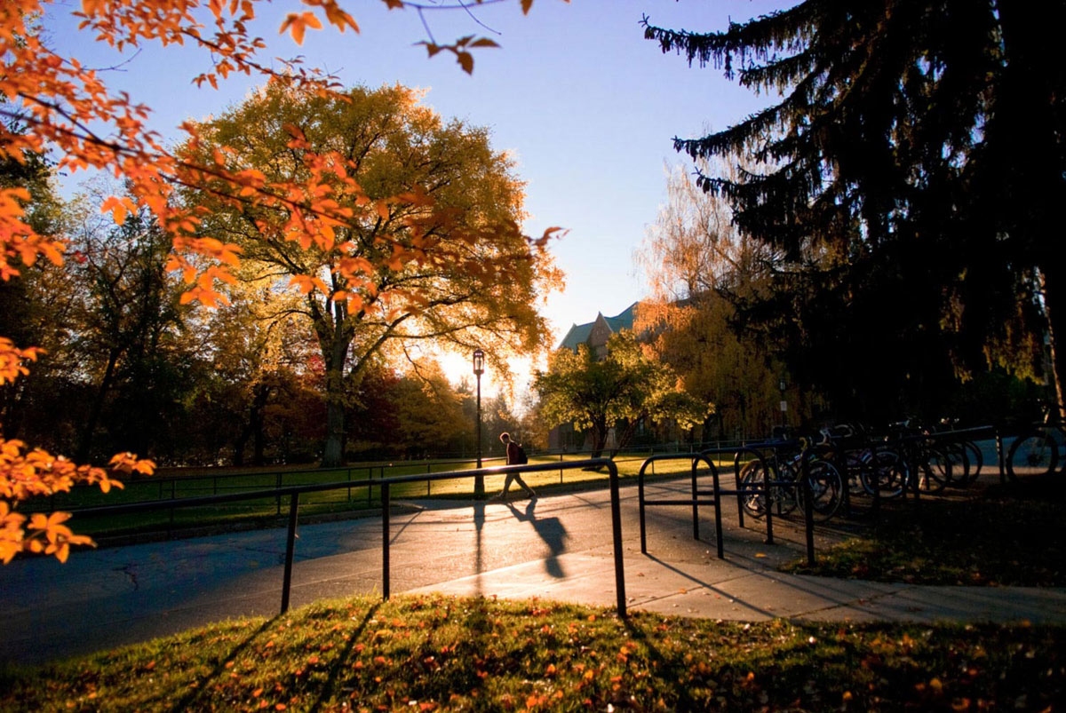 Students walking on campus