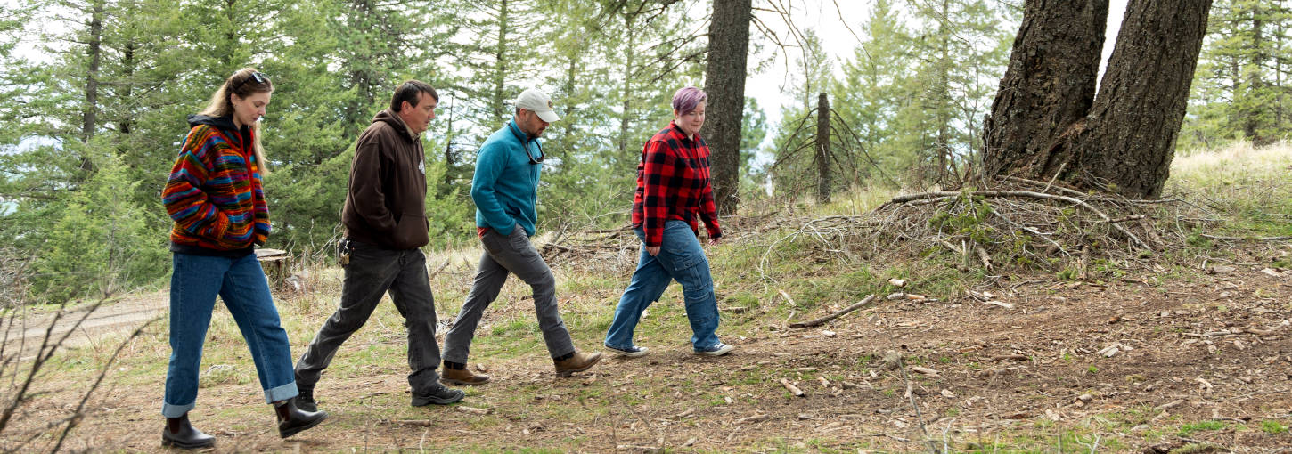 Four people walking on a forest road.