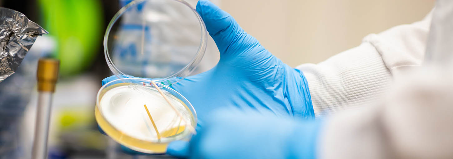 Hands holding a petri dish