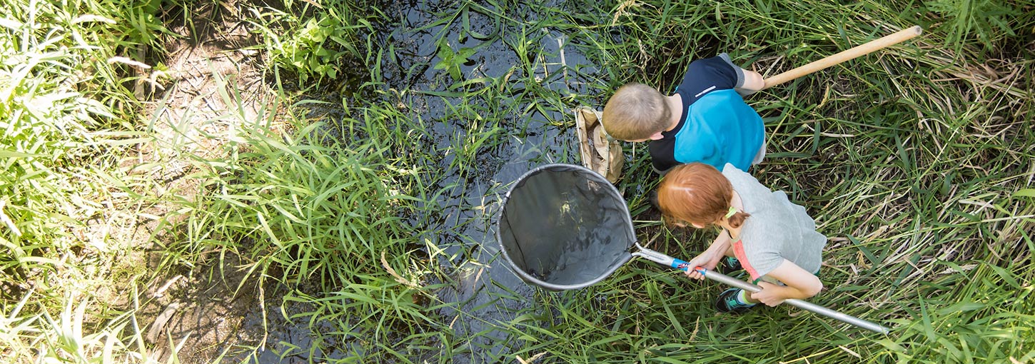 Two children investigate a pond